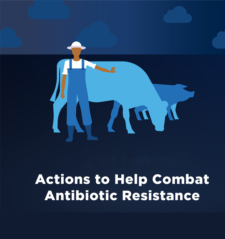 Antibiotics in Veterinary Medicine